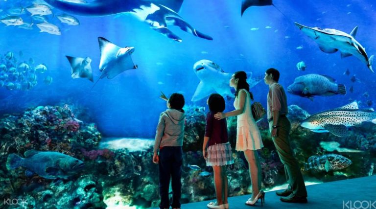 Kashmir to get world-class underground aquarium at Zabarwan foothills