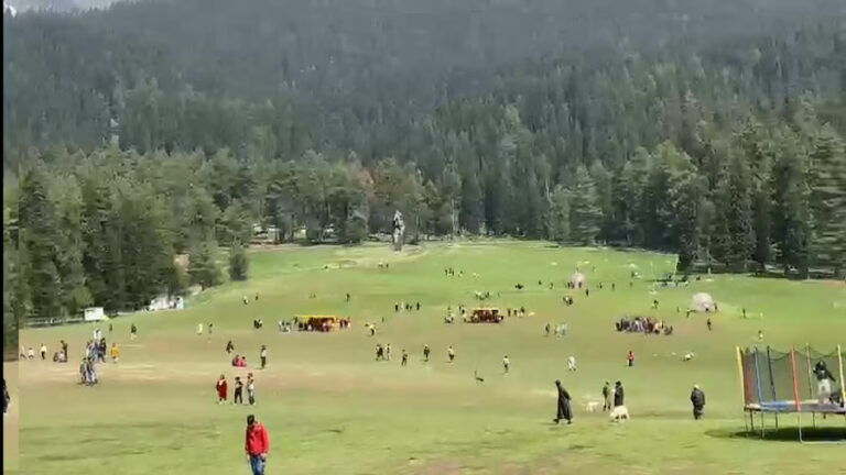 Pahalgam Pain