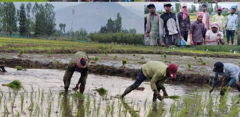 When Outsiders Do Our Work, We Lose More Than Money