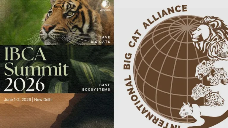 Bangladesh Joins India-Led Big Cat Alliance
