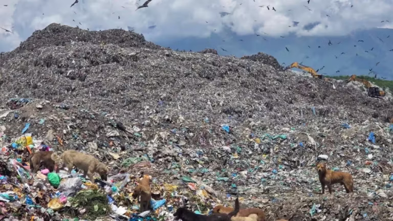 11.5 Lakh Tonnes Of Legacy Waste Piles Up At Achan