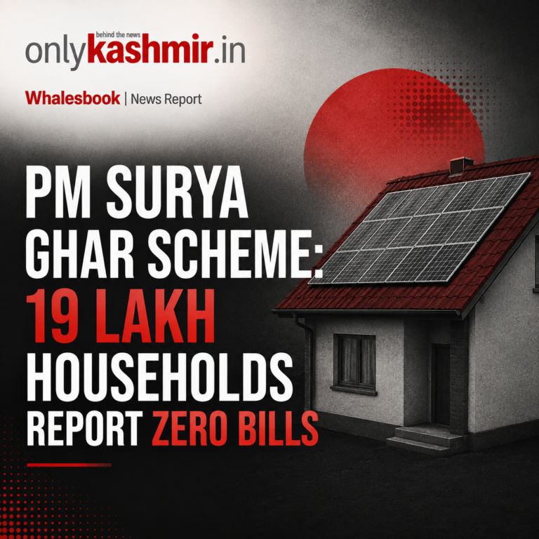 19 Lakh Homes Report Zero Power Bills