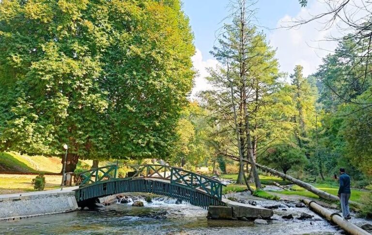 Kokernag Logs 600,000 Tourist Visits Since March
