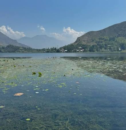 CPCB Flags Heavy Pollution in Manasbal Lake