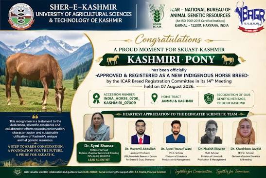 SKUAST-K Wins National Nod For Kashmir Pony
