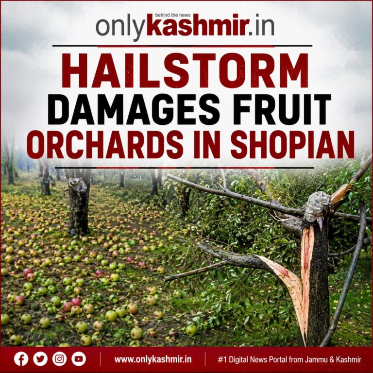 Hailstorm Damages Fruit Orchards In Shopian